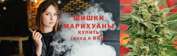 ешки Верхний Тагил