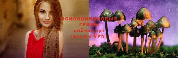 ешки Верхний Тагил