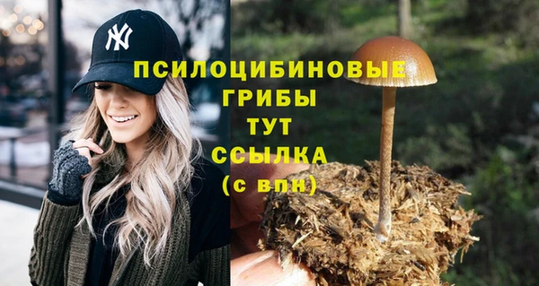 марки nbome Бородино