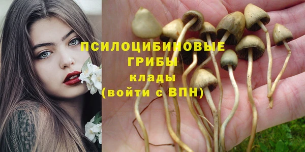 марки nbome Бородино