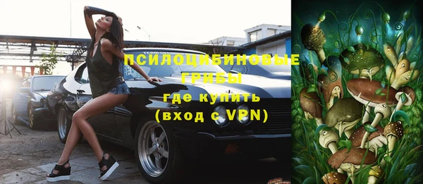ешки Верхний Тагил