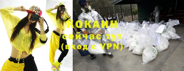 apvp Дмитриев