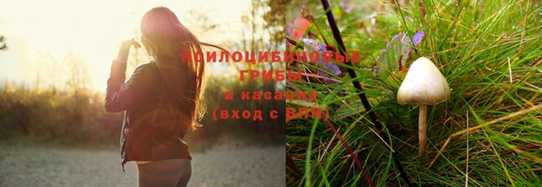 ешки Верхний Тагил