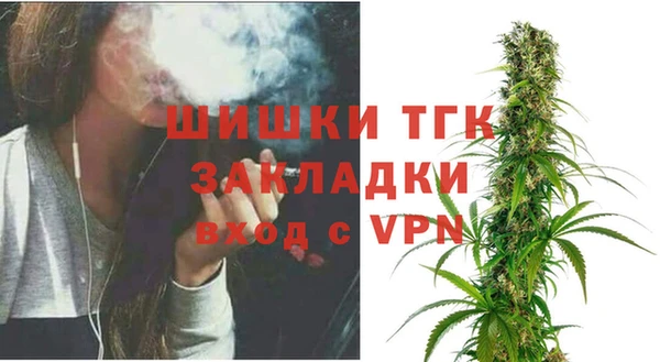 ешки Верхний Тагил