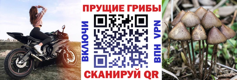 Псилоцибиновые грибы мухоморы  Буинск 
